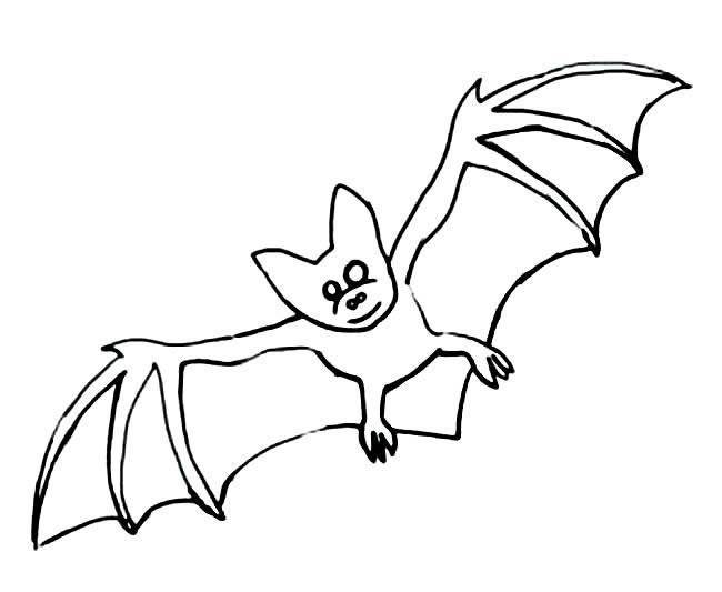 蝙蝠怎么画画法图片