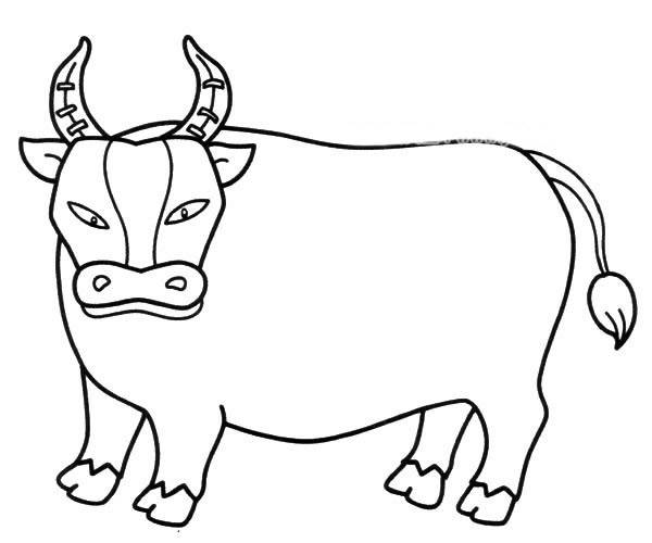 大黄牛怎么画简笔画图片