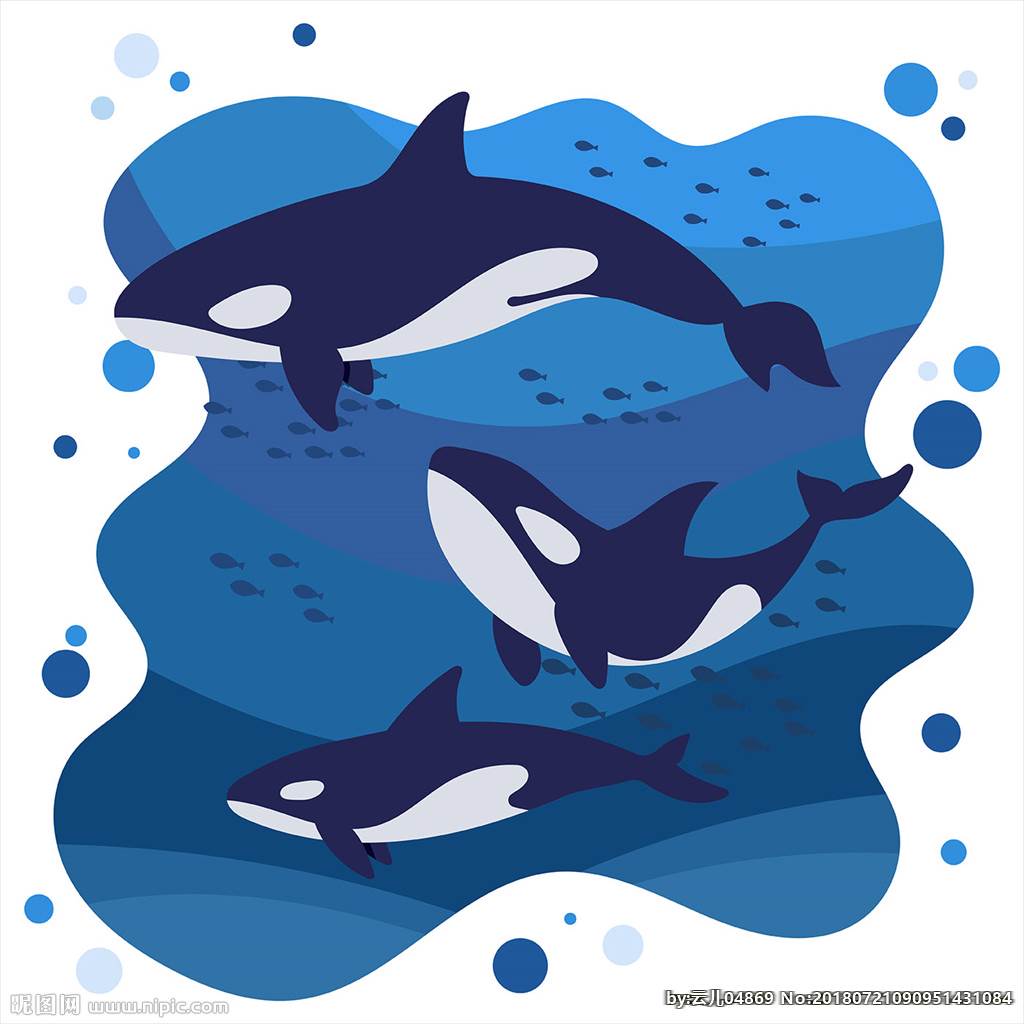 藍色鯨魚 可愛小鯨魚 植物 花朵, 海洋, 鯨魚簡筆劃, 插圖鯨魚素材圖案，PSD和PNG圖片免費下載