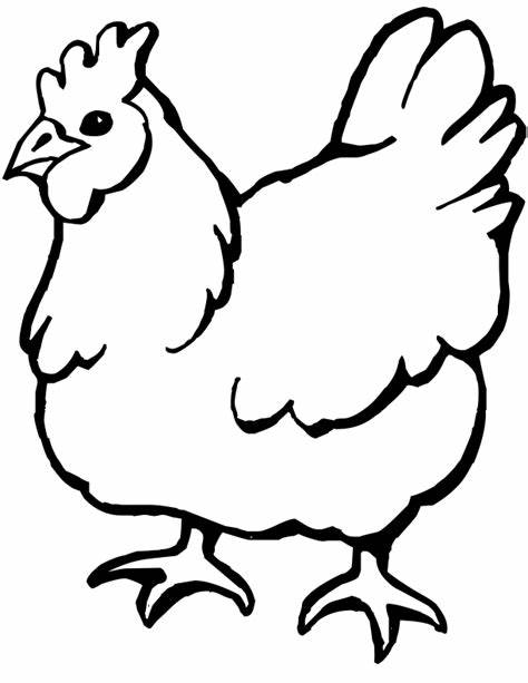 简笔画动物鸡简单画法图片