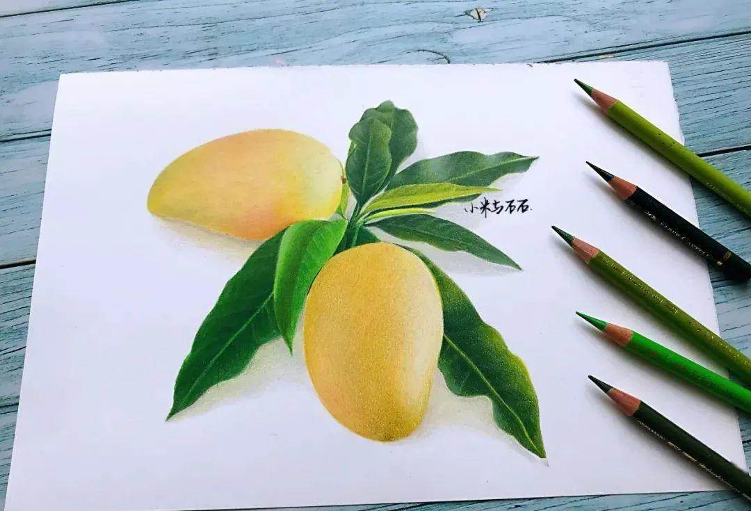 芒果水彩画教程图片