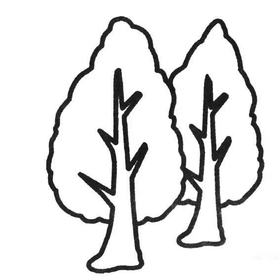 画树木简单笔画图片
