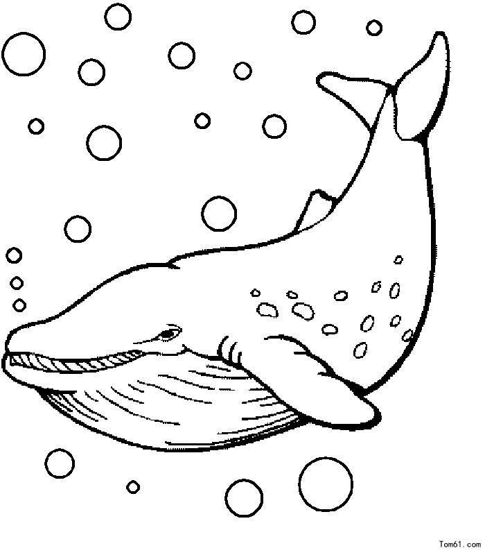 海底世界鲸鱼简笔画图片