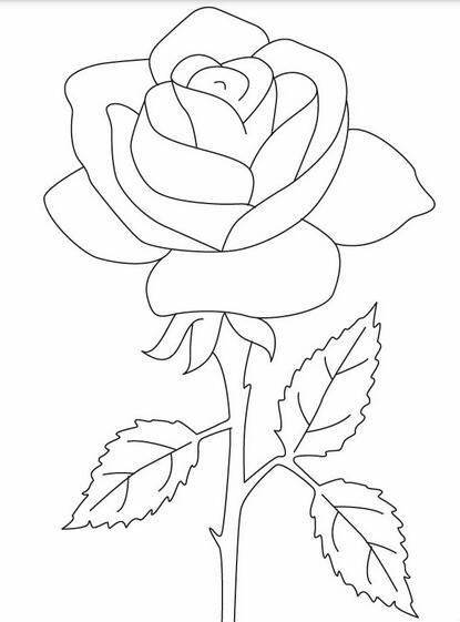 玫瑰花简易手绘图图片
