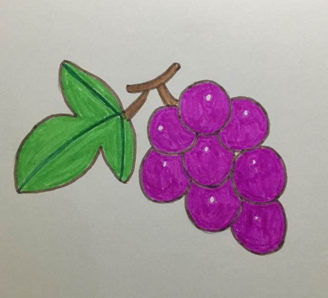 葡萄彩色简笔画 一串图片