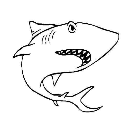 鲨鱼动物简笔画步骤图片大全鲨鱼的简笔画画法儿童简笔画大鲨鱼