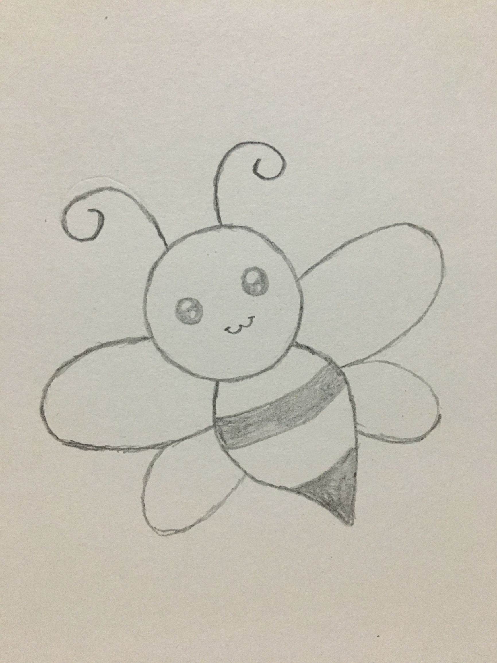 蜜蜂结构简笔画图片