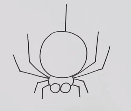 蜘蛛简笔画恐怖可爱图片