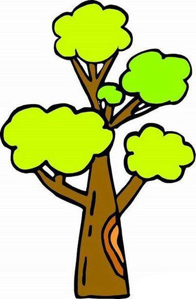 一颗树简笔画彩色图片