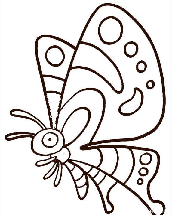 儿童画蝴蝶的简单画法图片