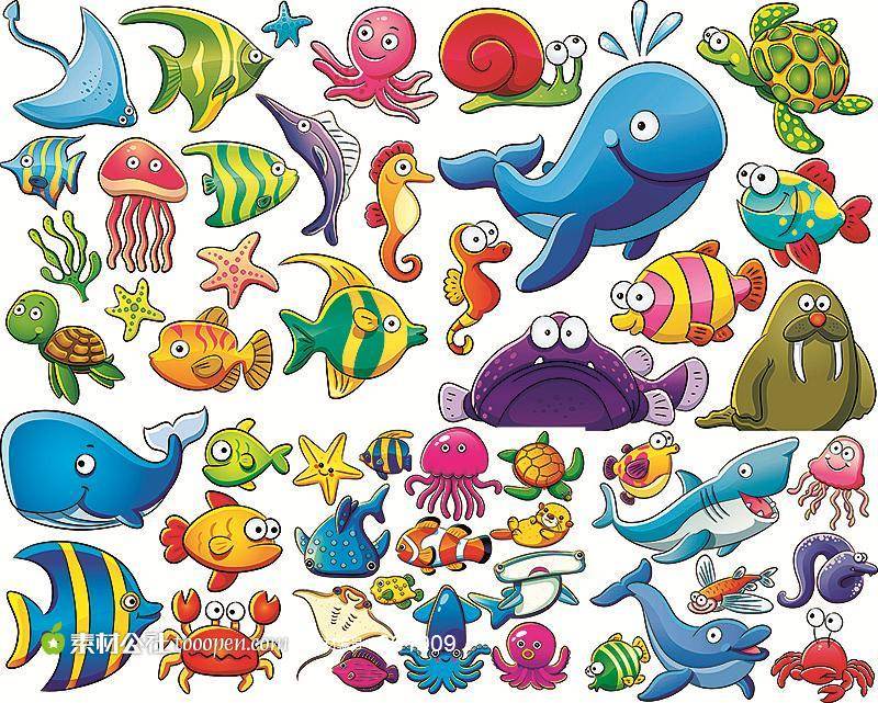 海洋动物简笔画 海洋动物简笔画带颜色