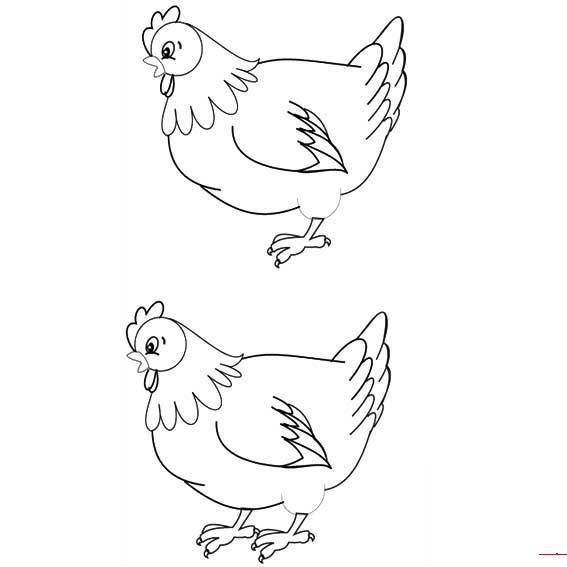 母鸡的简单画法怎么画图片