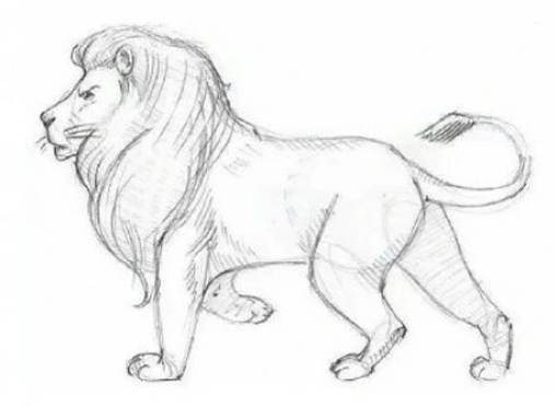 狮子的简笔画 华表柱上的石狮子的简笔画