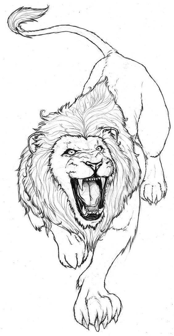 狮子简笔画威武图片