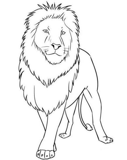 狮子的简笔画 华表柱上的石狮子的简笔画