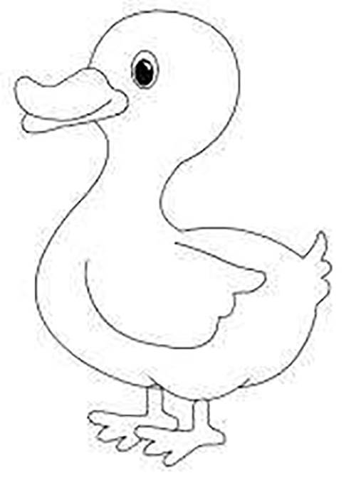 鸭子最简单的简笔画图片