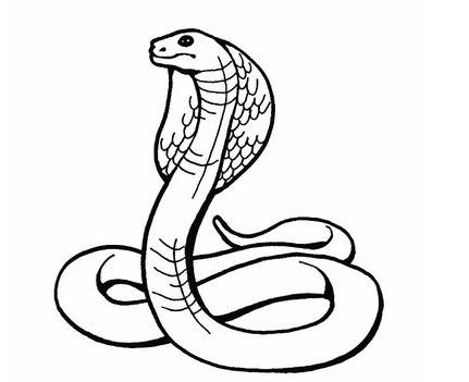蛇怎么画纸上图片