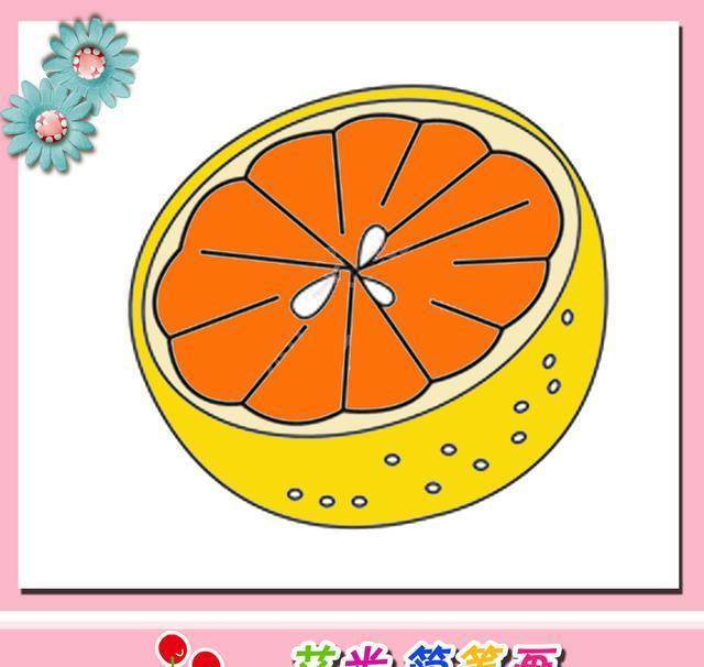 橘子涂色简笔画图片