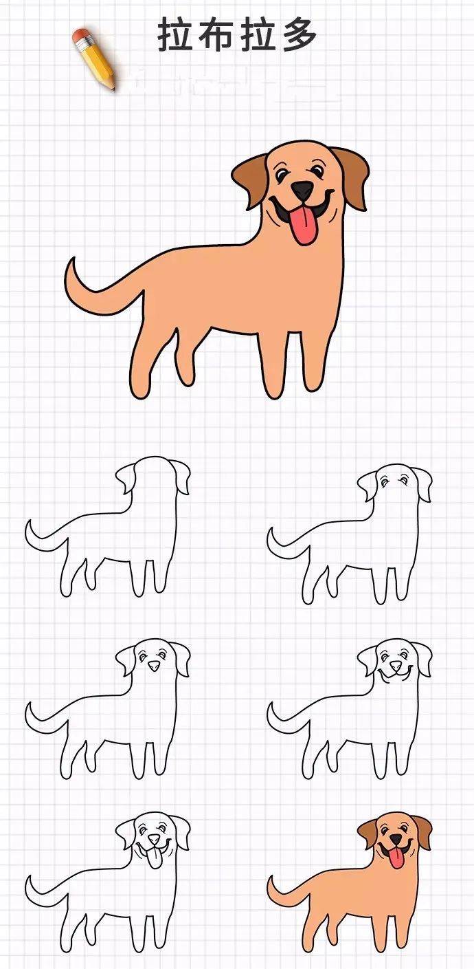 狗的简单画法图片图片