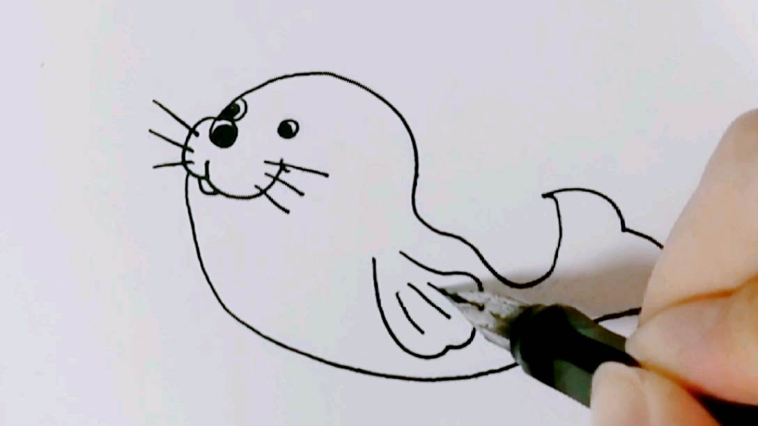 海狮简笔画涂色图片