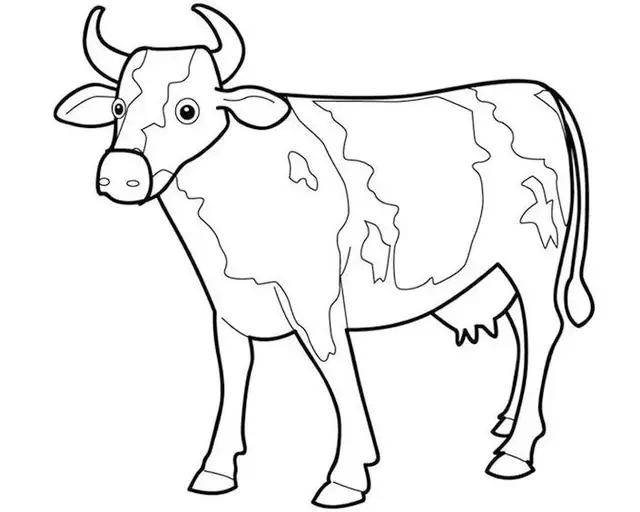 牛年绘画简笔图片
