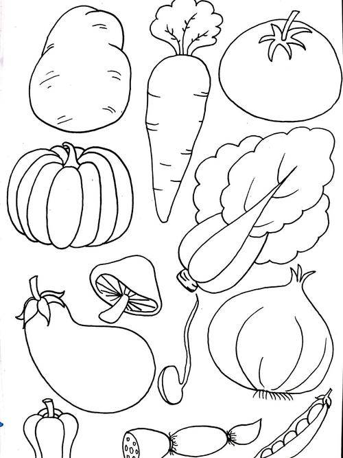 20种蔬菜简笔画简单图片