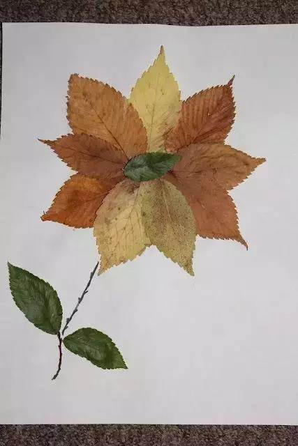 秋天的树叶图画儿童画图片