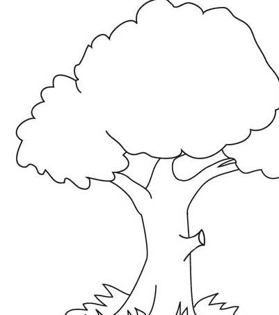 大树简笔画法图片