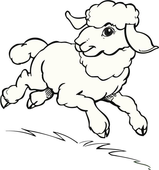 小绵羊简笔画简单图片
