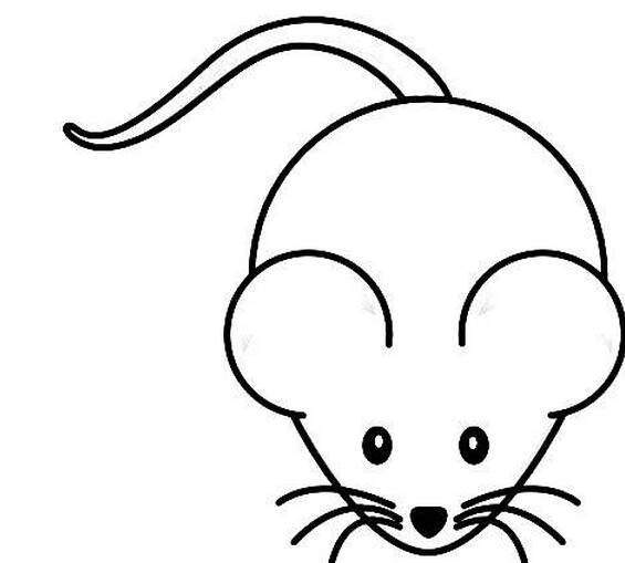 老鼠简易图图片