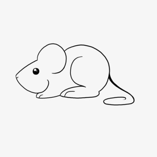 可爱的小老鼠简笔画画法步骤图片72=9画一只可爱的小老鼠简笔画你也