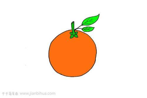 柑橘简笔画图片大全图片
