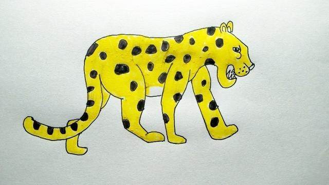 豹子简笔画彩色 画法图片