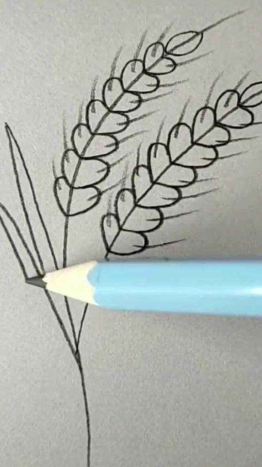 小麦画法 儿童图片