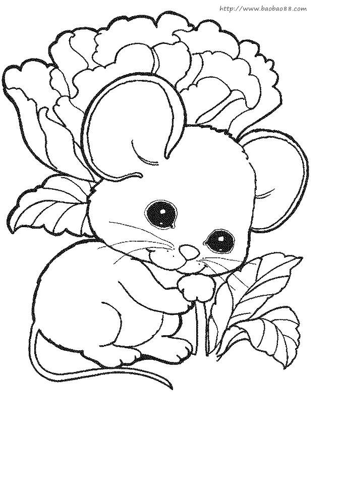儿童画小老鼠简单画法图片