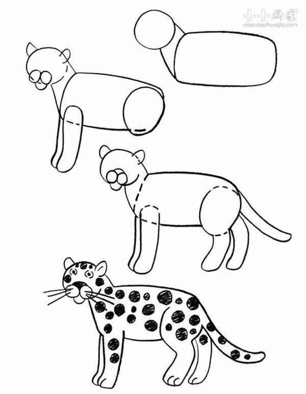 豹子儿童简笔画猎豹图片