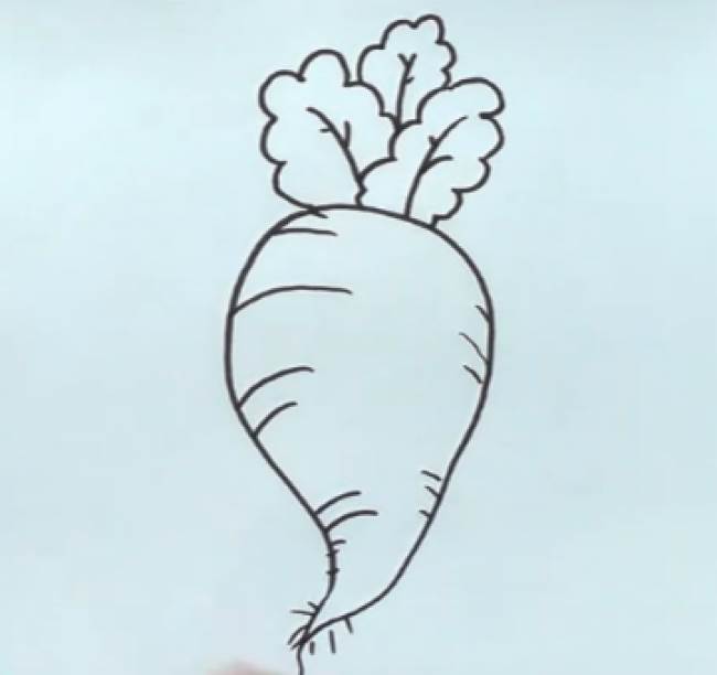 胡萝卜的种子简笔画图片