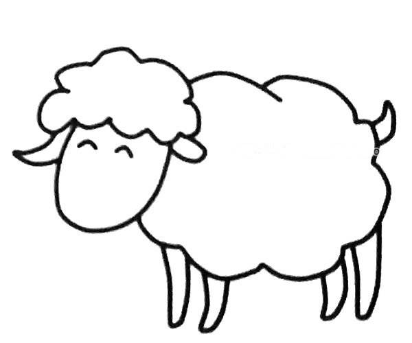 怎样画绵羊最简单画图片