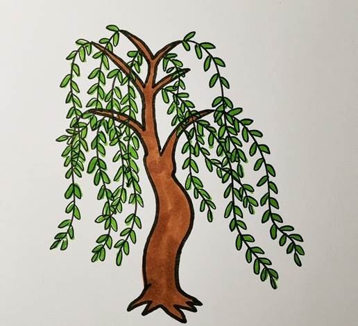 二年级柳树怎么画简便图片