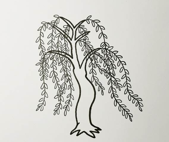 柳树的画法简笔画图片