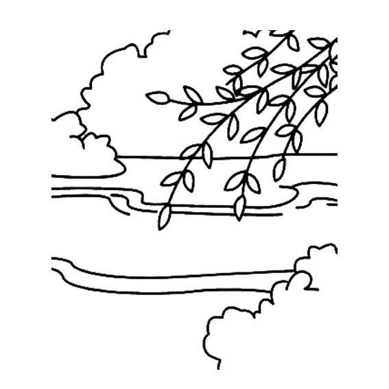 下垂的柳树枝条简笔画图片