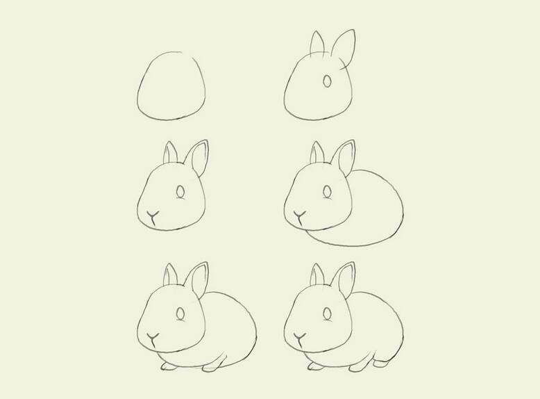 简单的画画教程兔子图片