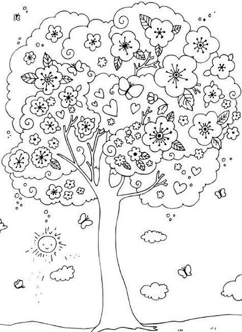 幼儿园春天的树简笔画图片