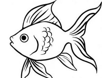 画金鱼的简笔画画法图片