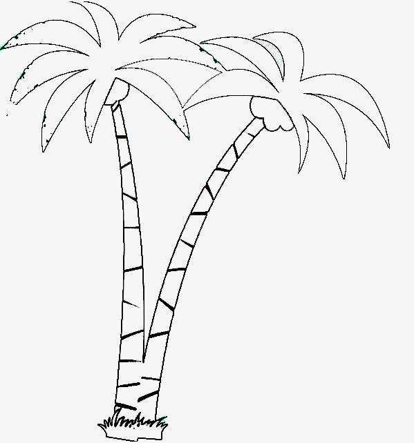 椰子树简笔画海边图片