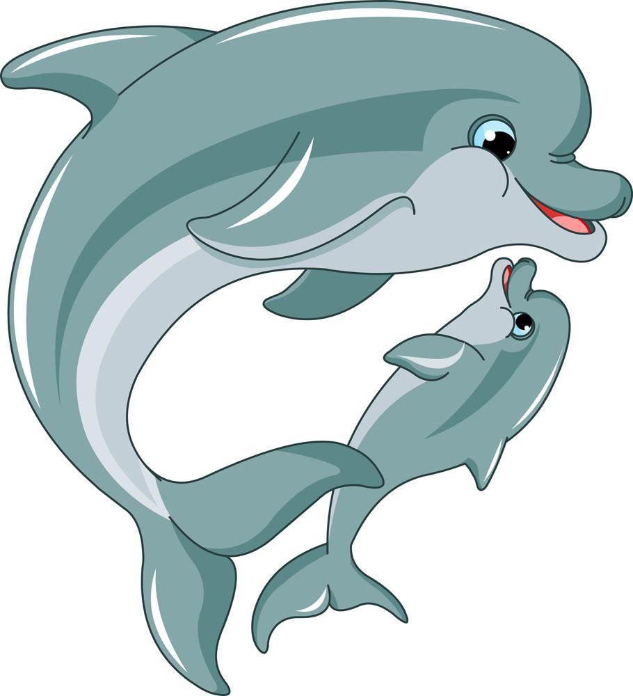 海豚的照片卡通画图片