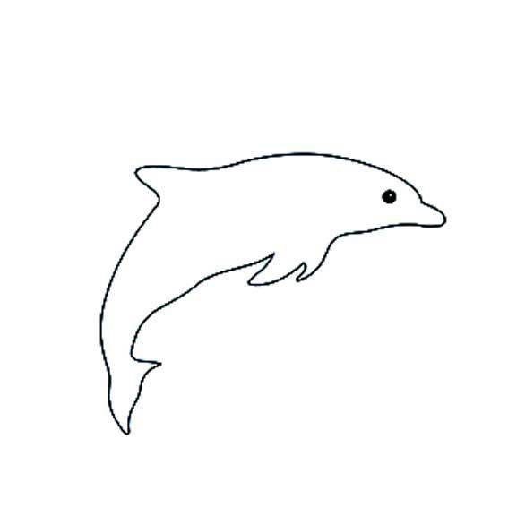 大海豚图片简笔画图像图片