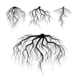树根缠绕简笔画图片