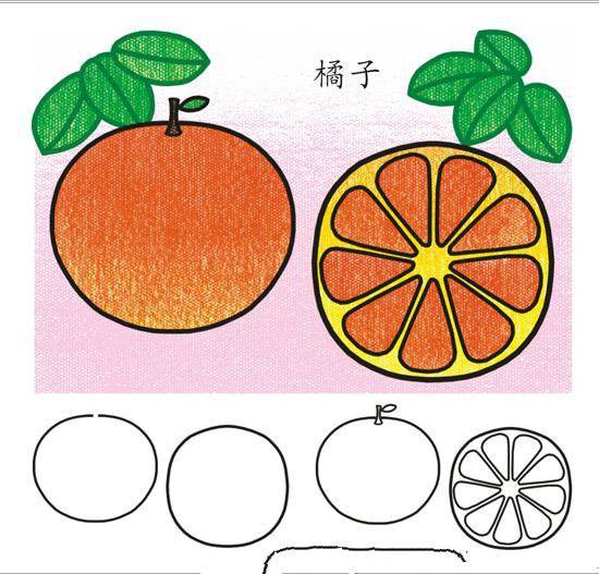 橘子的简笔画橘子的简笔画法