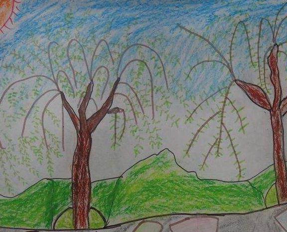 二年级柳树怎么画美术图片